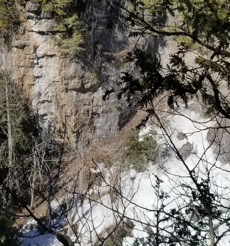 Eugenia Falls Conservation Area景点图片
