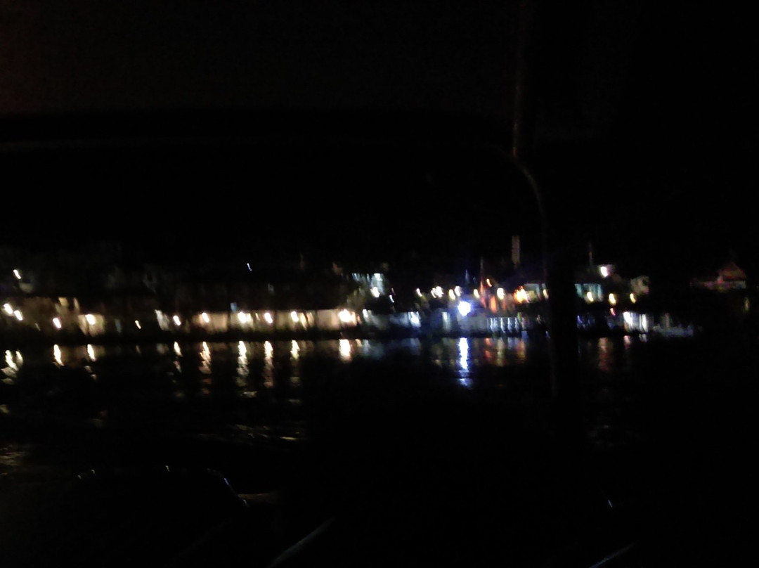 La Parguera Bioluminescent Bay景点图片