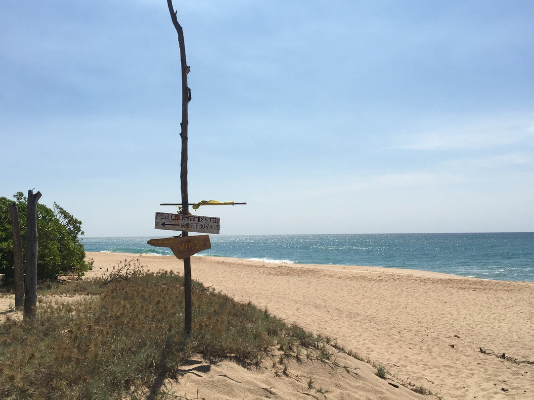 Marakolliya Beach-唐卡拉必去景点
