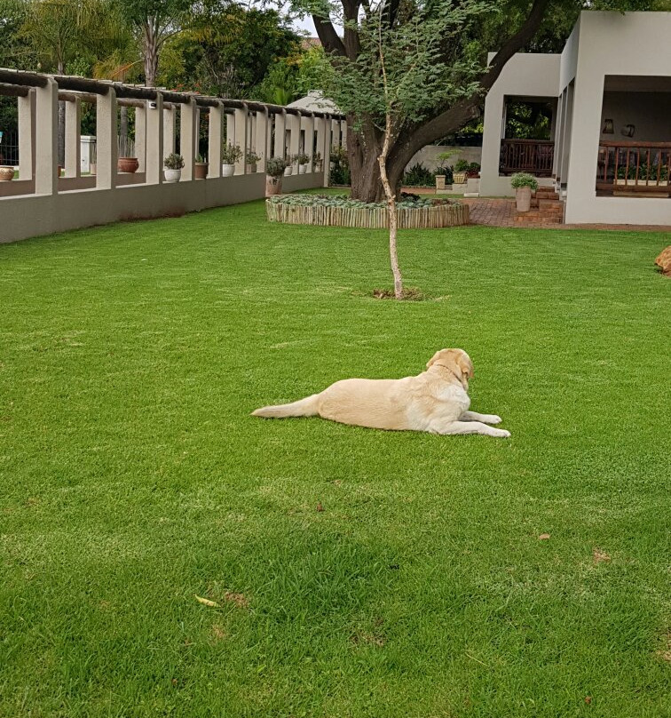 La Vue Guest Lodge and Function Venue主图