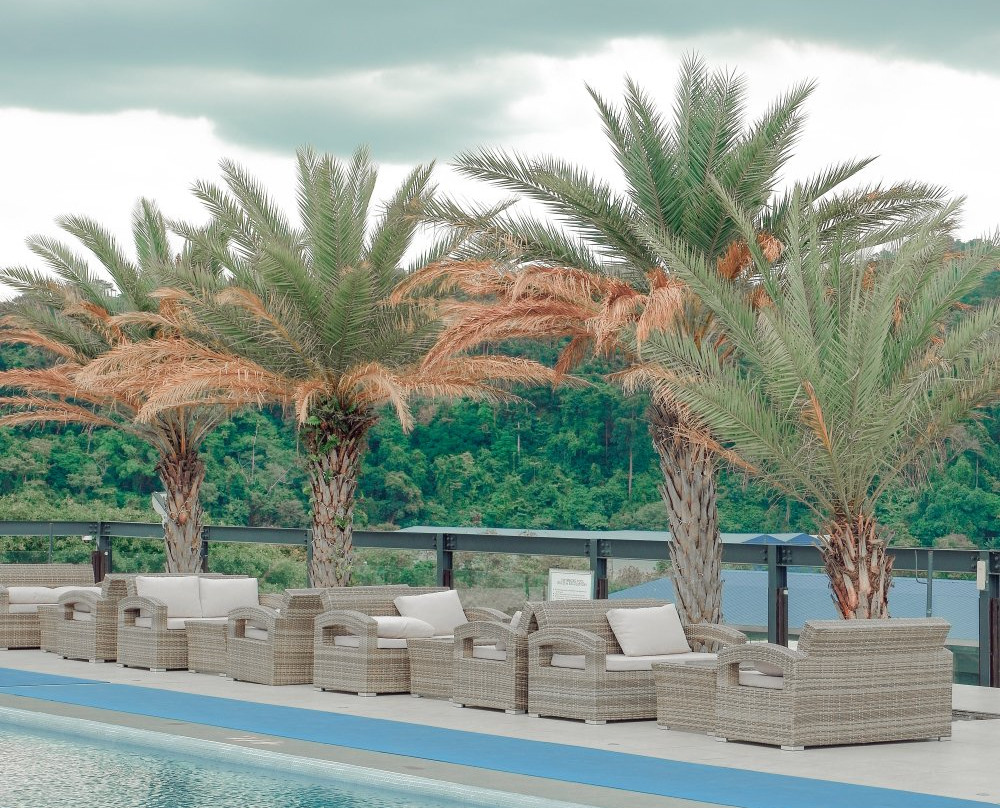 Le Charmé Suites主图