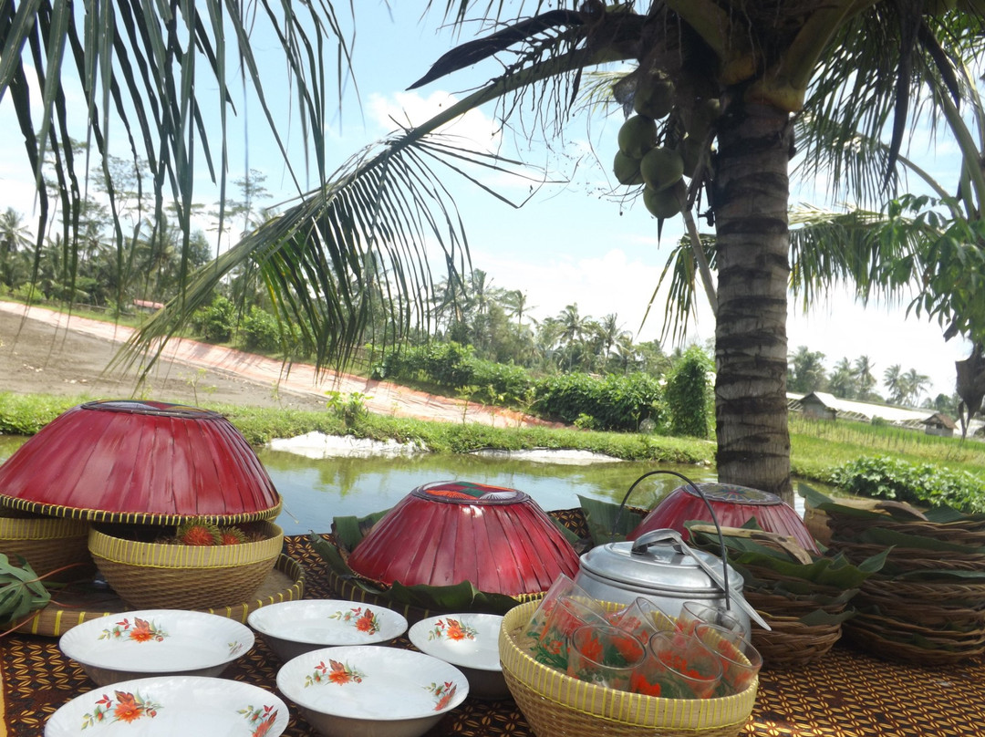 Lombok Rise - Day Tours-Senggigi必去景点