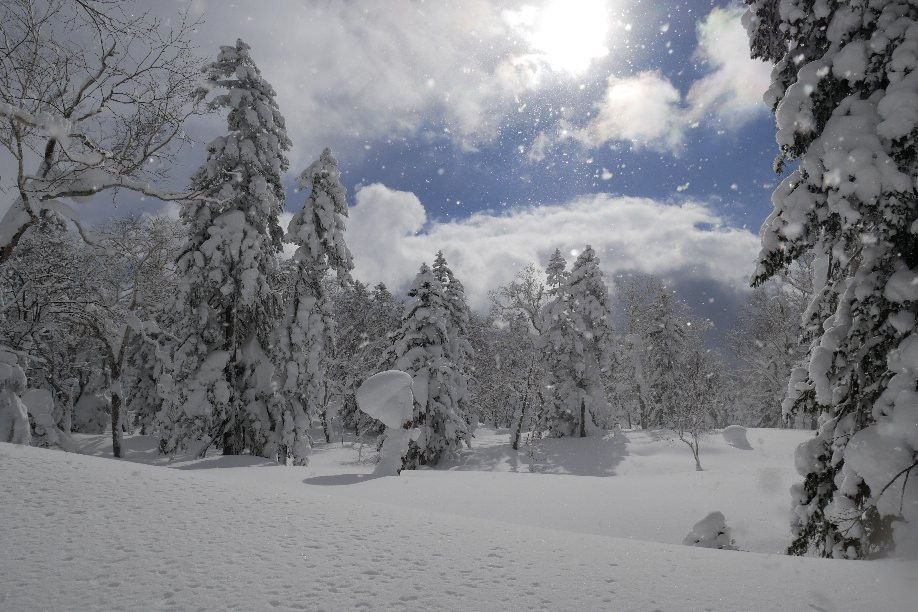 Furano Snow Tours-中富良野町必去景点