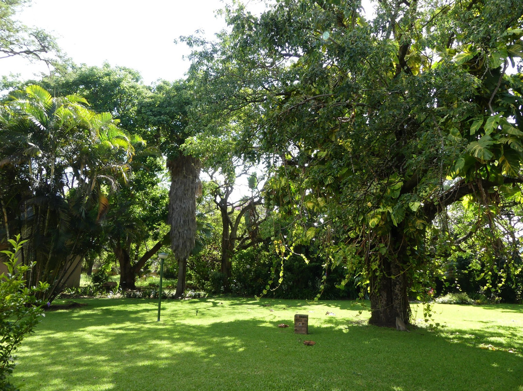 努比花园套房酒店主图