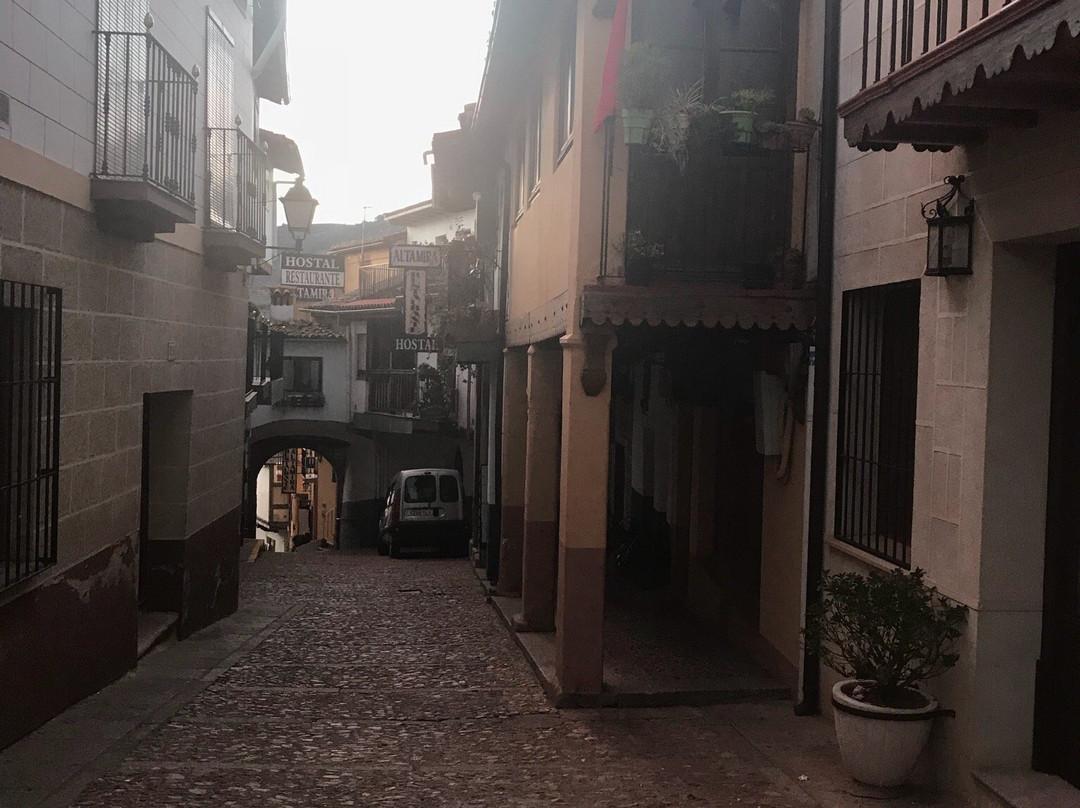 阿尔塔米拉瓜达卢佩旅馆