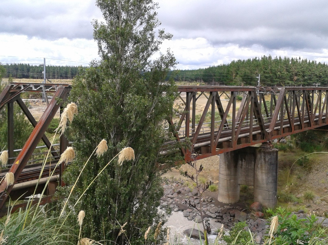 Tangiwai Rail Disaster Memorial景点图片