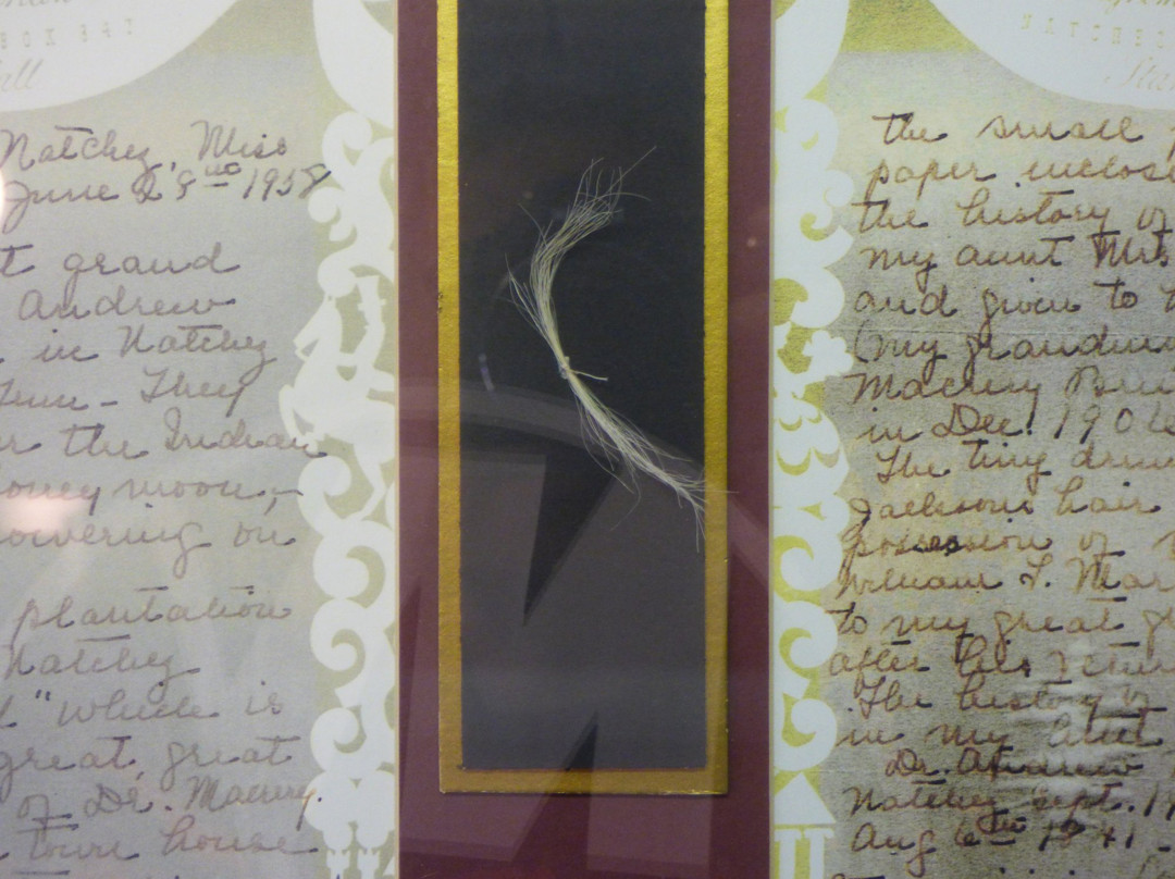 Andrew Jackson State Park-Lancaster必去景点