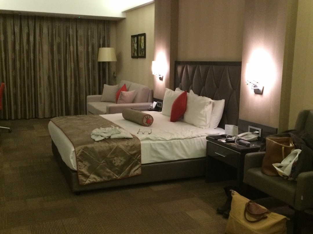 Svalinn Hotel主图