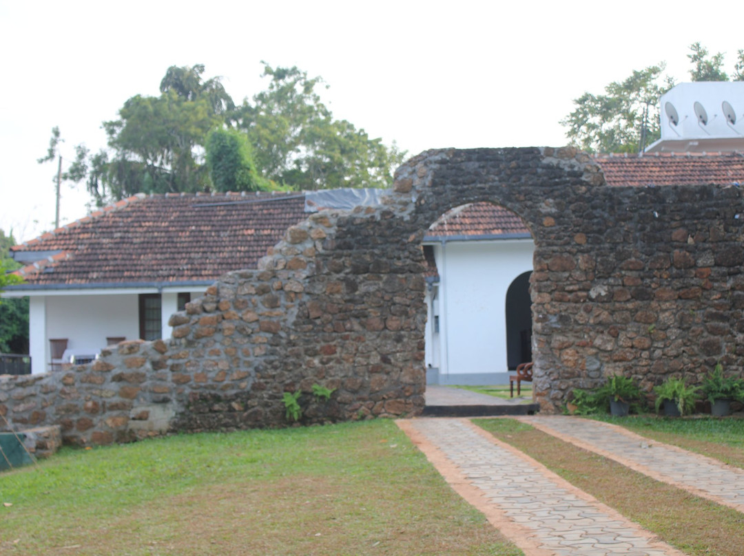 Paradise Forest Garden主图