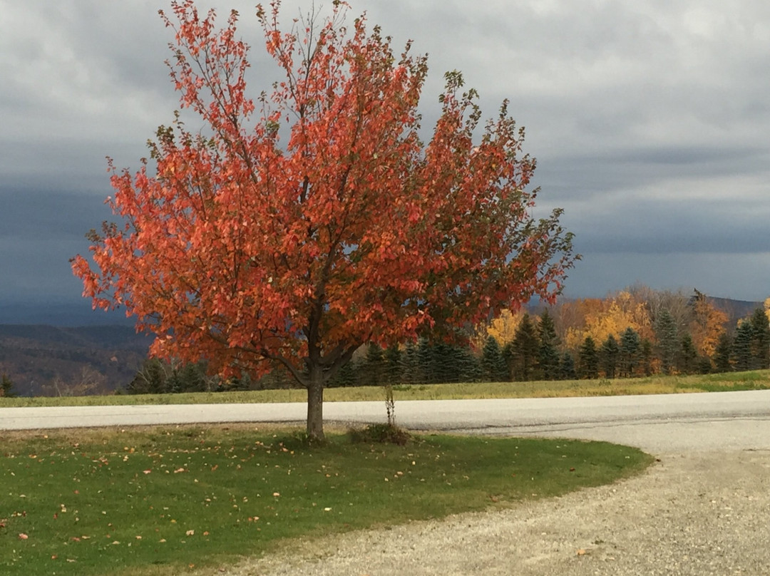 Cooper Hill Inn主图