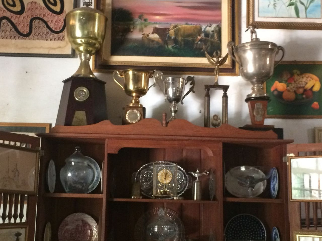 Parque Temático Pantanal-Coxim必去景点