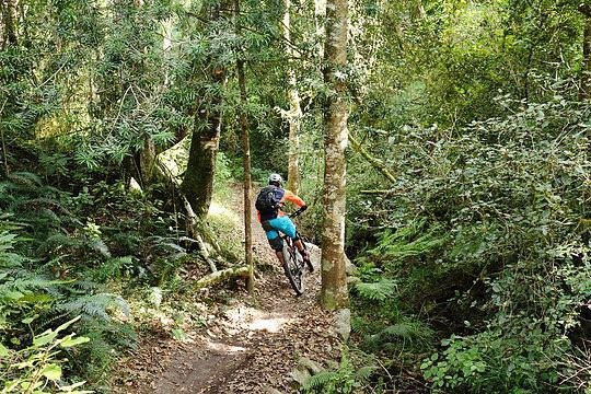 Garden Route Trail Park-克尼斯纳必去景点