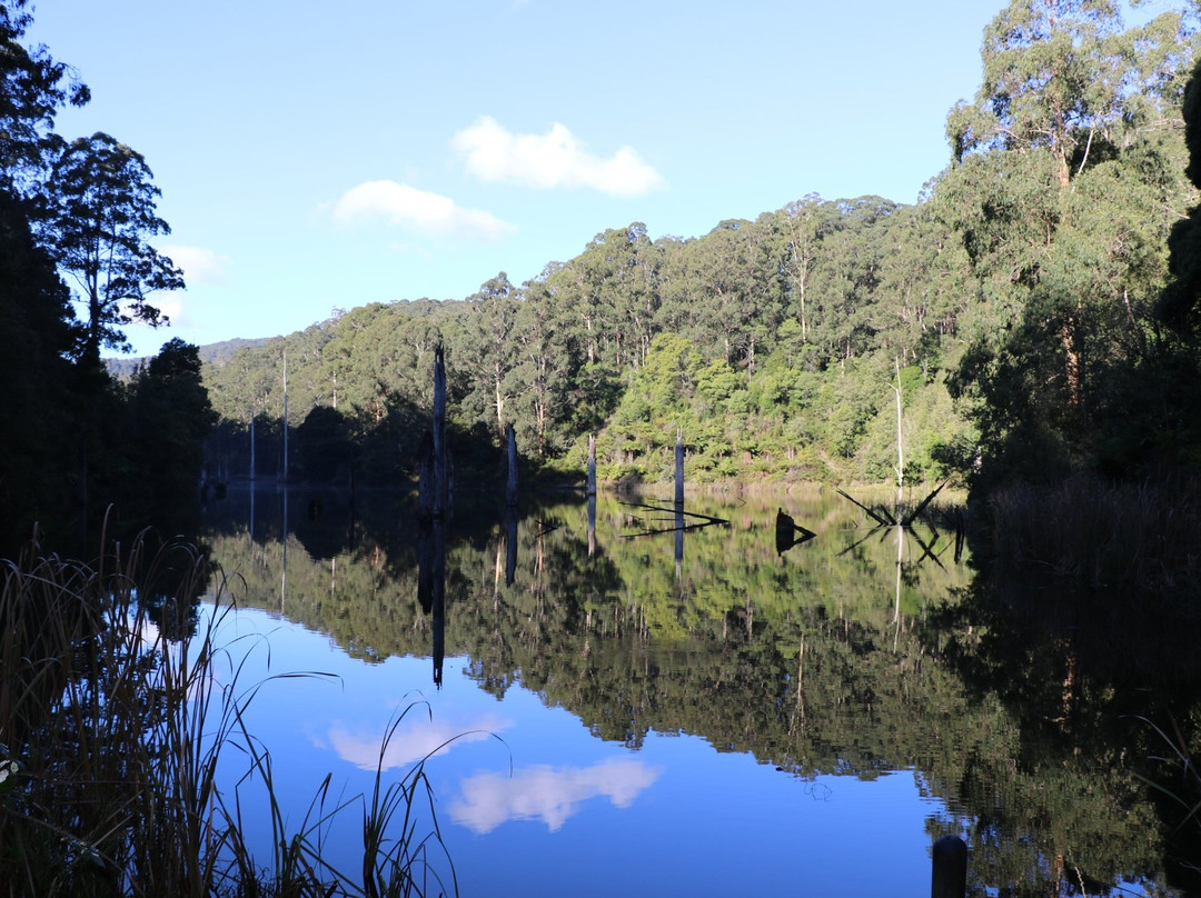 Forrest旅游攻略图片
