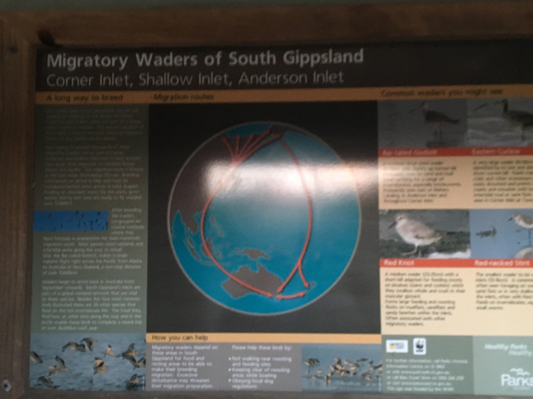 Toora Bird Hide-Toora必去景点