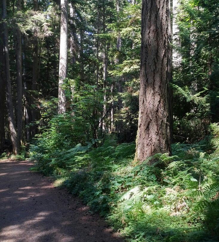 Heritage Forest-魁利克姆海滩必去景点