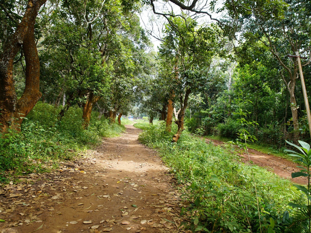Karadiyur View Point景点图片