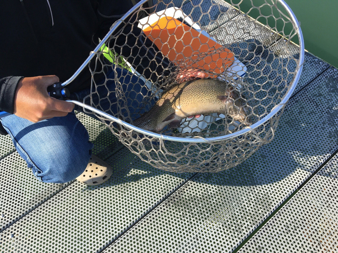 Lake Higashiyama Fishing Area景点图片