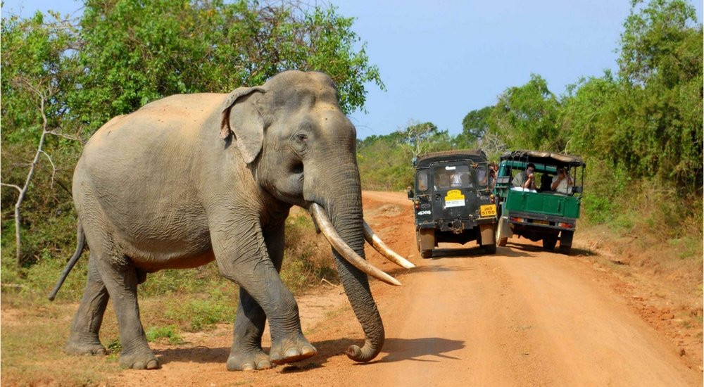 Traveler Ceylon Tours-Raddolugama必去景点