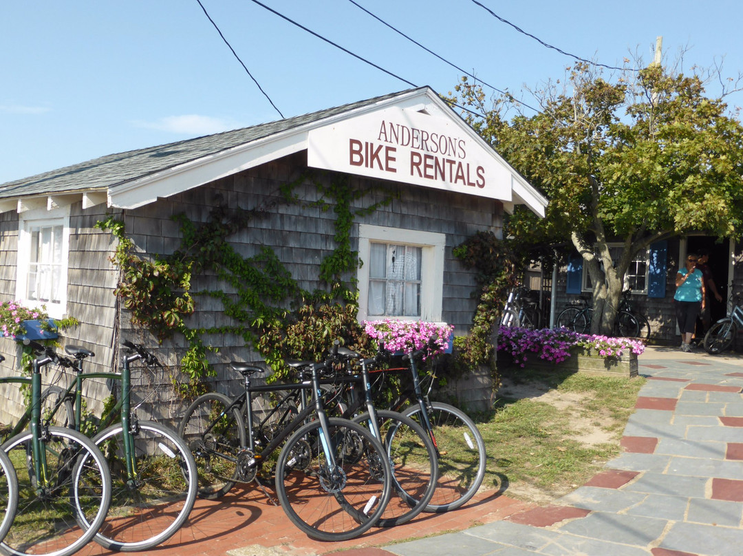 Anderson's Bike Rentals景点图片