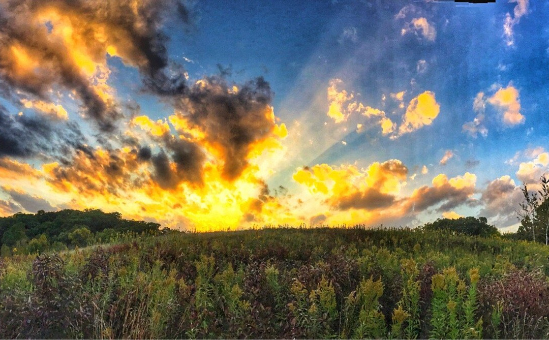 Hyland Lake Park Reserve-布卢明顿必去景点
