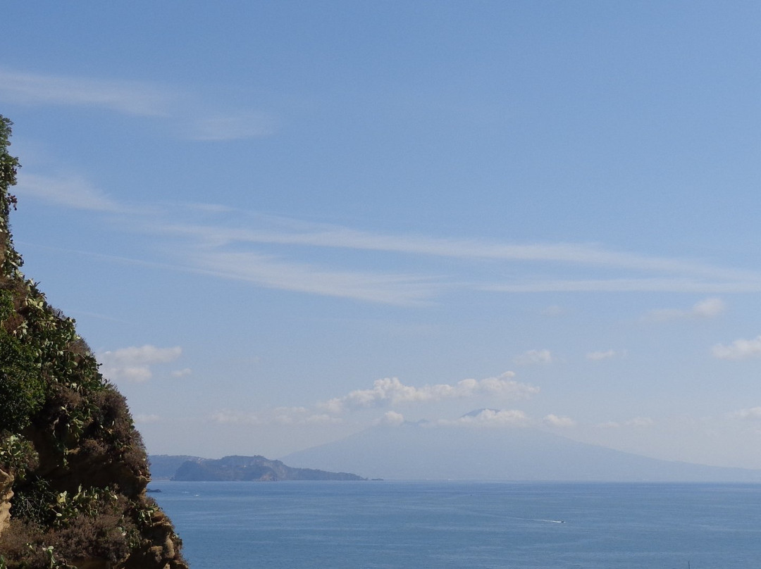 Basilica S. Michele Arcangelo-Piano di Sorrento必去景点