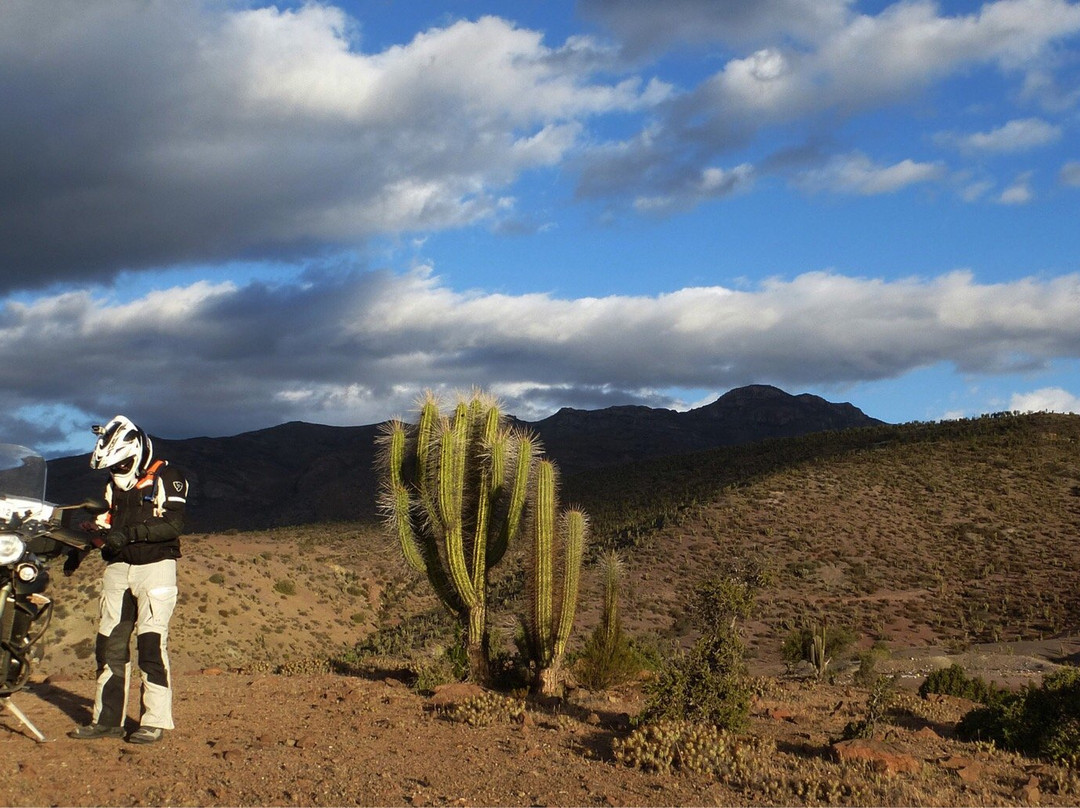 Ruta Antakari-Ovalle必去景点