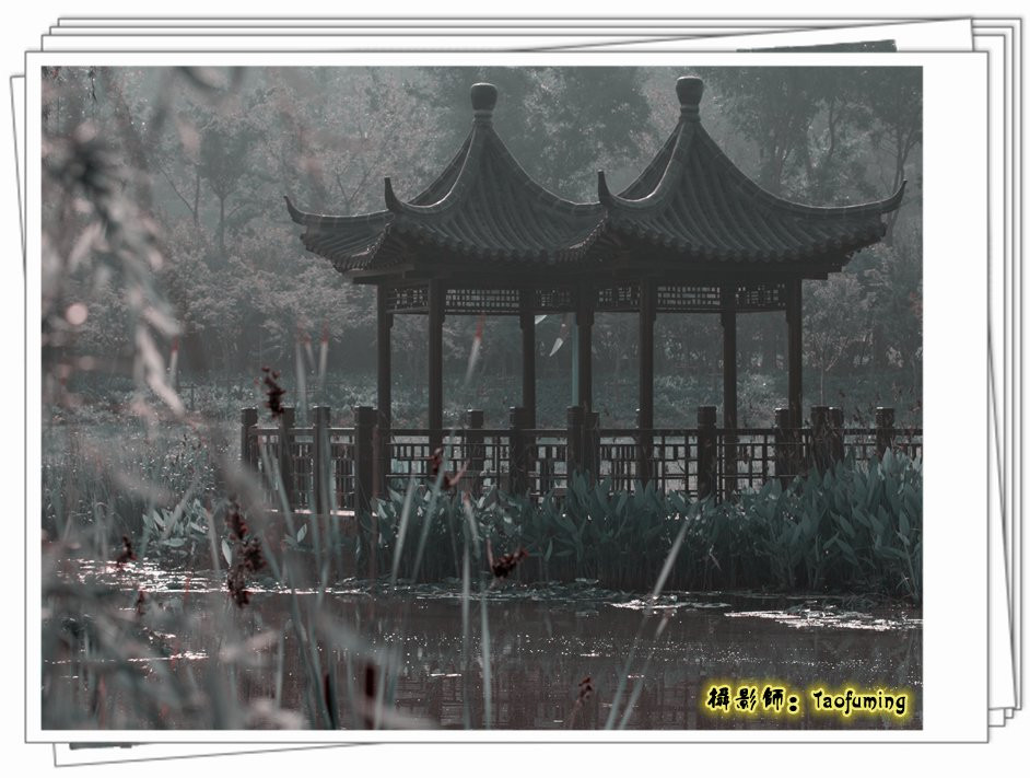 三台山森林公园景点图片