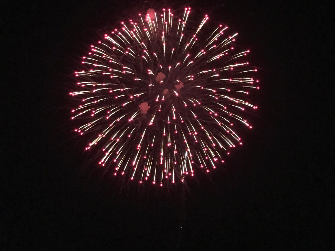 Ariake Sea Fireworks-柳川市必去景点