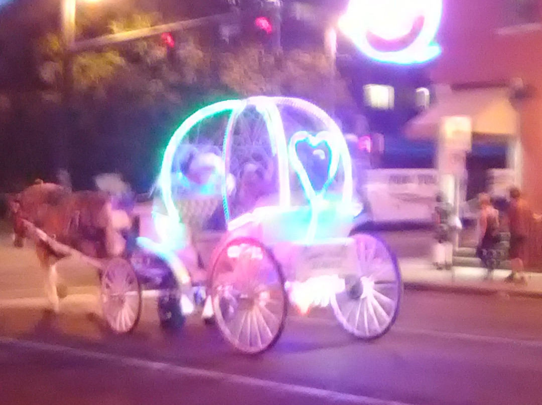 Carriage Tours of Memphis-孟菲斯必去景点