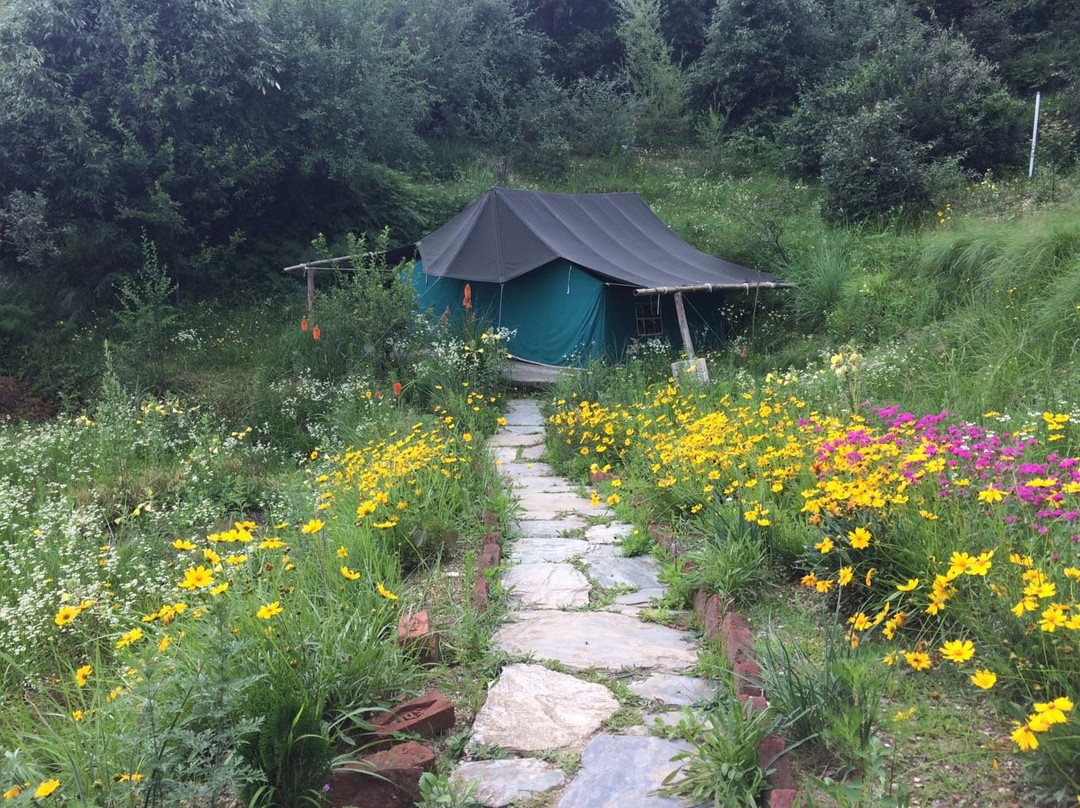 Wildrift Adventures -  Camp Purple Mukteshwar