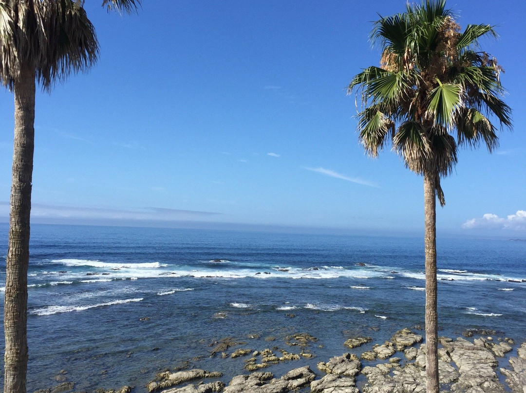 Shirosaki Beach-鸭川市必去景点