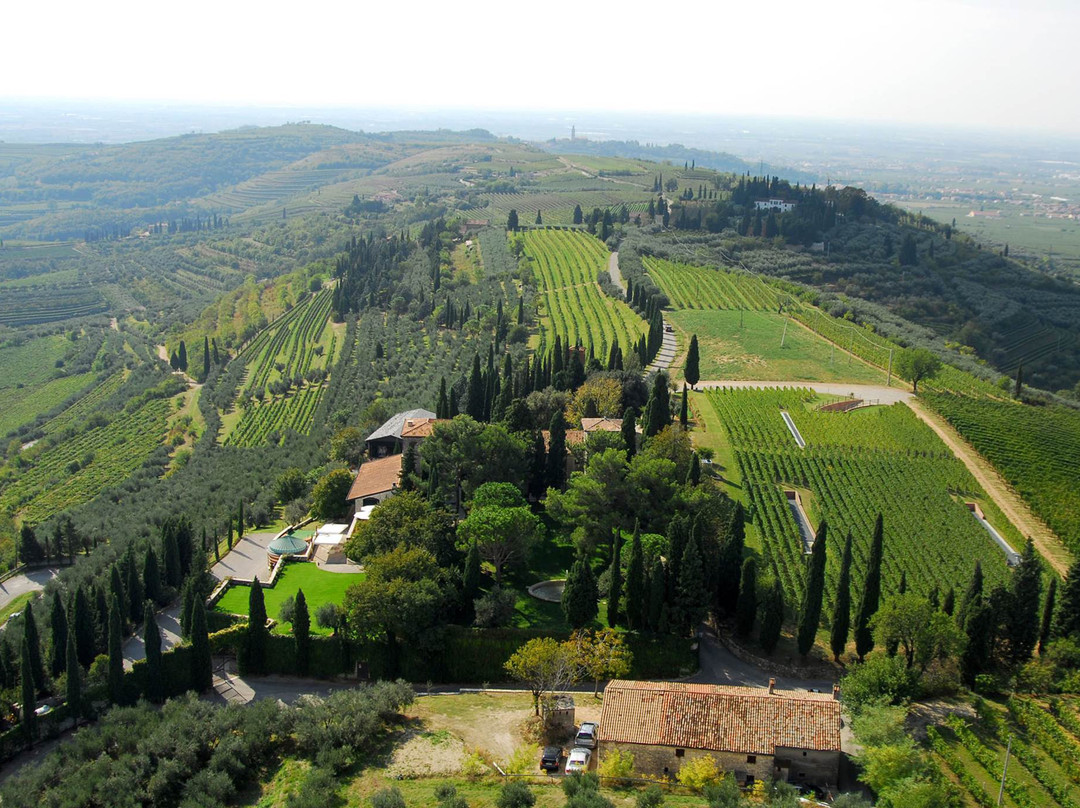 Azienda Agricola Trabucchi景点图片