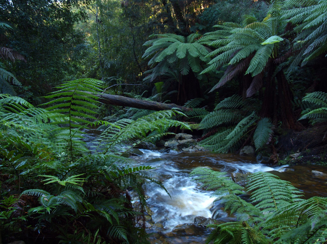 Holwell Gorge State Reserve-Holwell必去景点