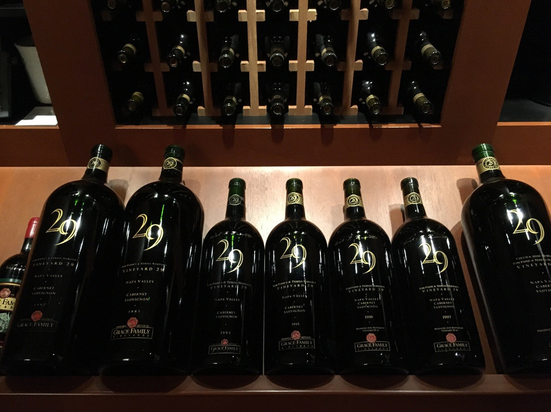 Vineyard 29景点图片