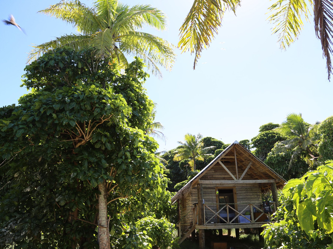 Luahoko Robinson Island-Foa Island必去景点