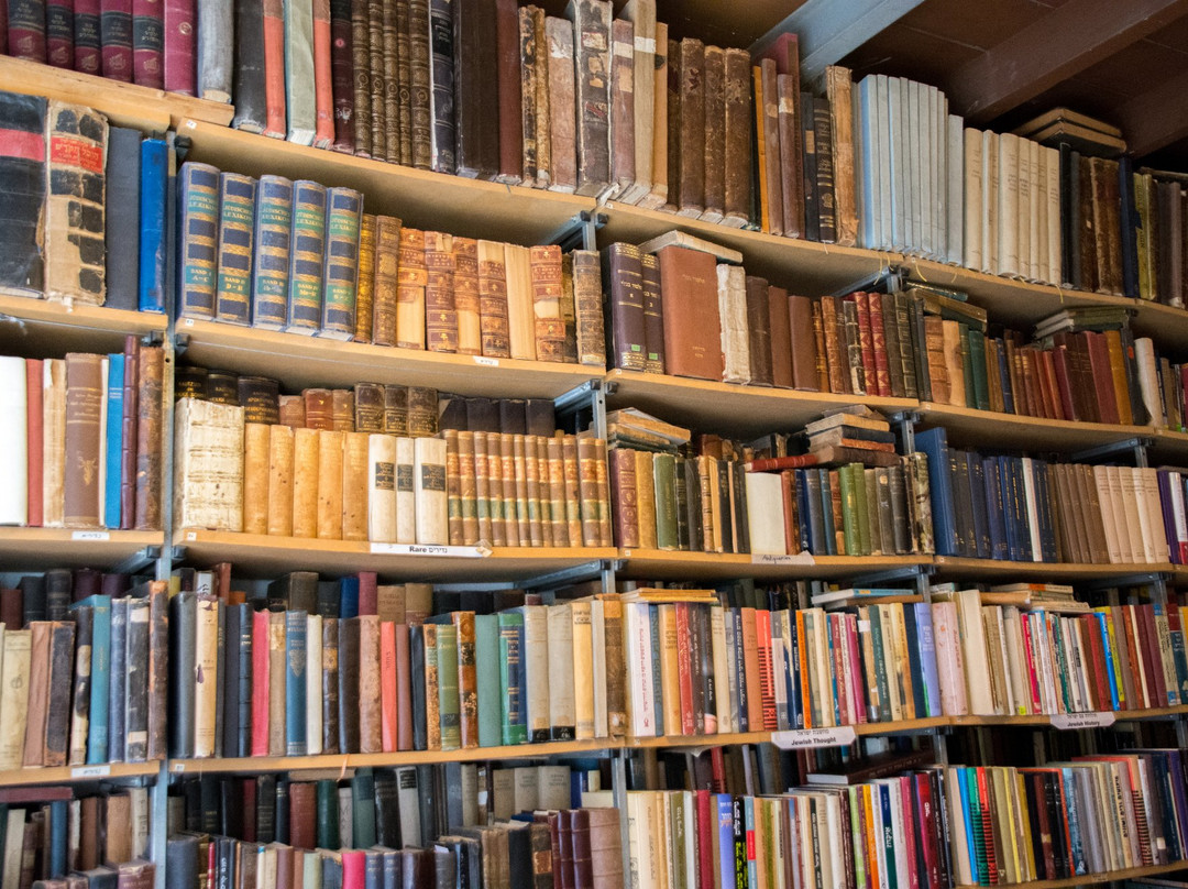 Holzer - Books-耶路撒冷必去景点