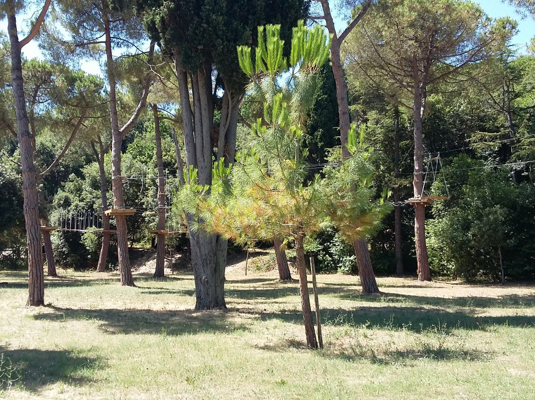 Parco Filiani-Pineto必去景点
