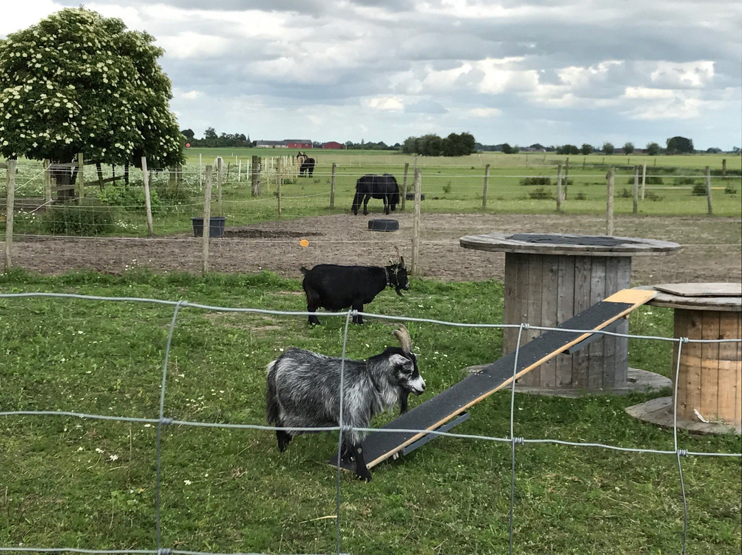 Kungshagagård主图