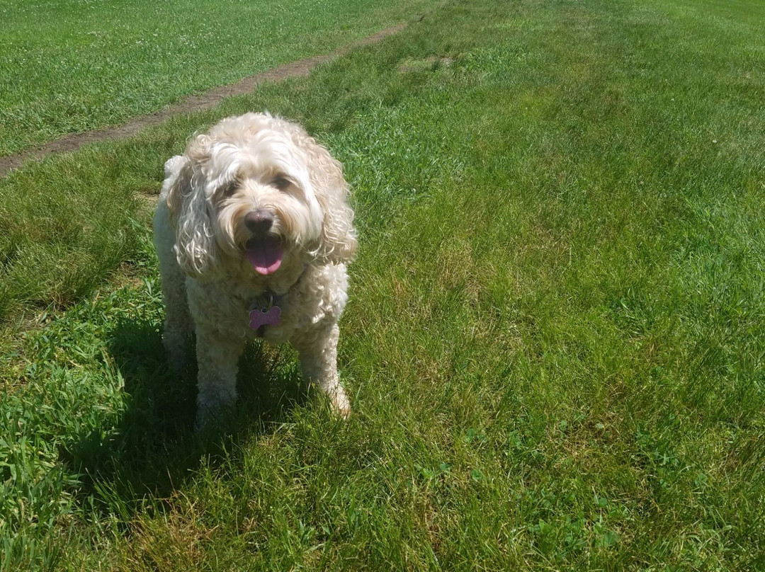 Mills Riverside park-Jericho必去景点