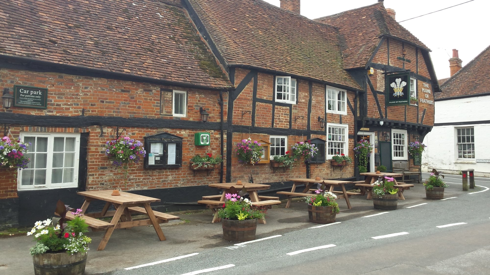 The Plume of Feathers-官方