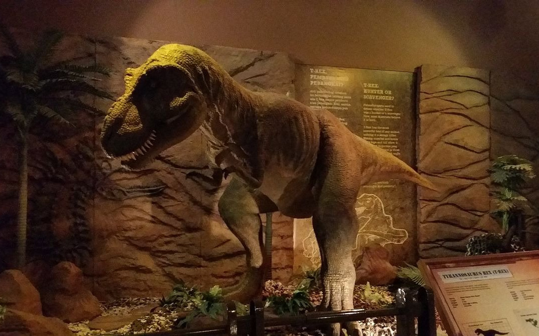 Pusat Sains & Kreativiti Terengganu-瓜拉丁加奴必去景点