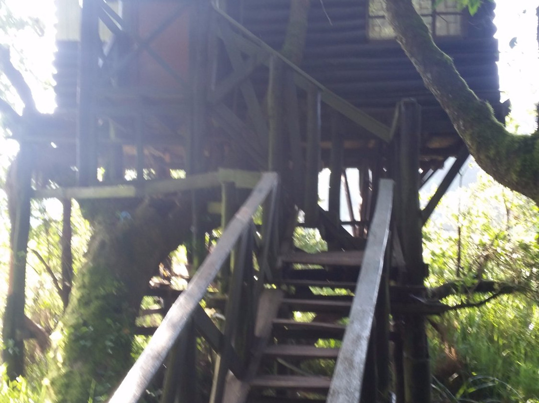 Saiwa Swamp National Park-Kitale必去景点