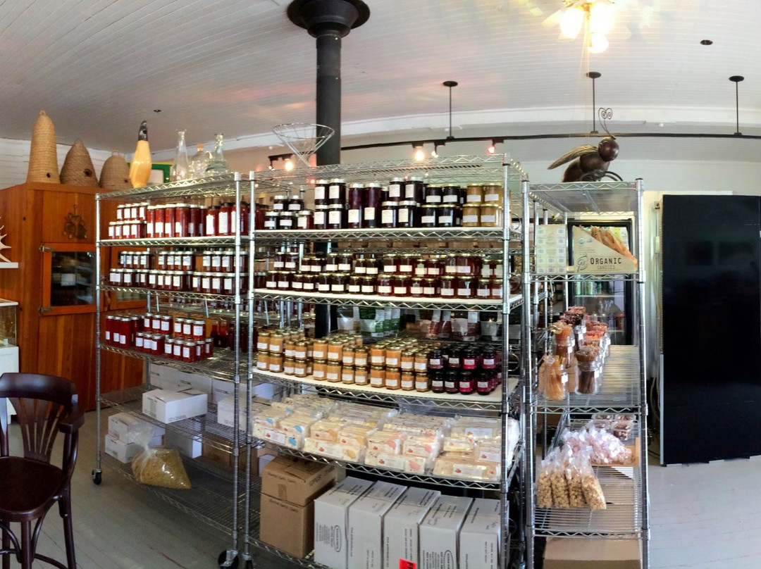 Beeland-Spillimacheen必去景点