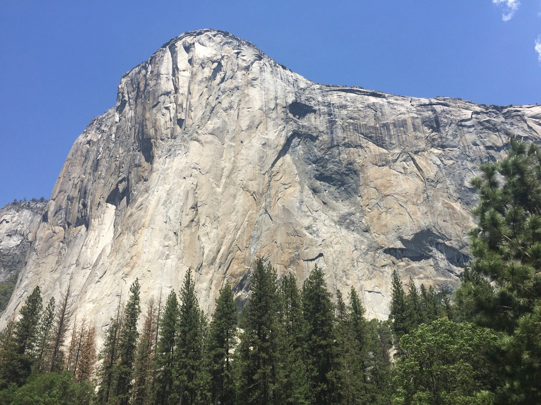 约塞米蒂&马德拉县游客主中心-奥克赫斯特必去景点