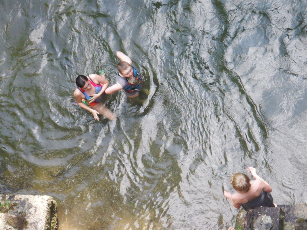 Hawks Nest Rail Trail-Ansted必去景点