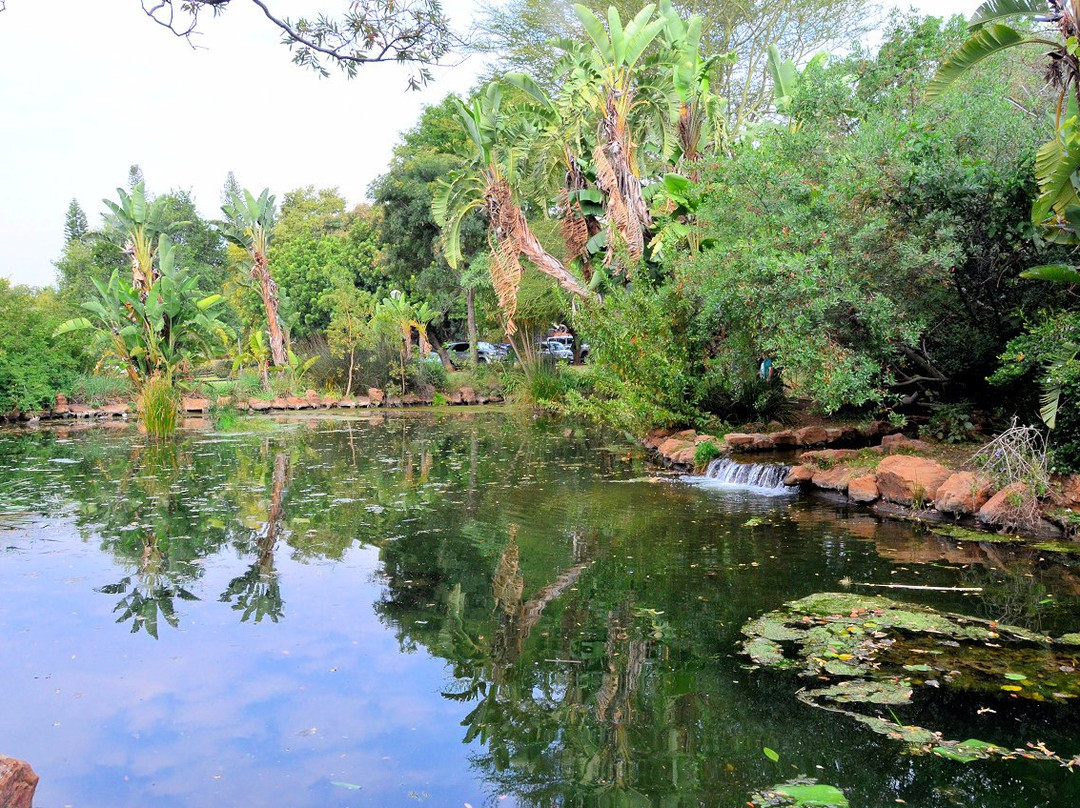 Jan Celliers Park-比勒陀利亚必去景点