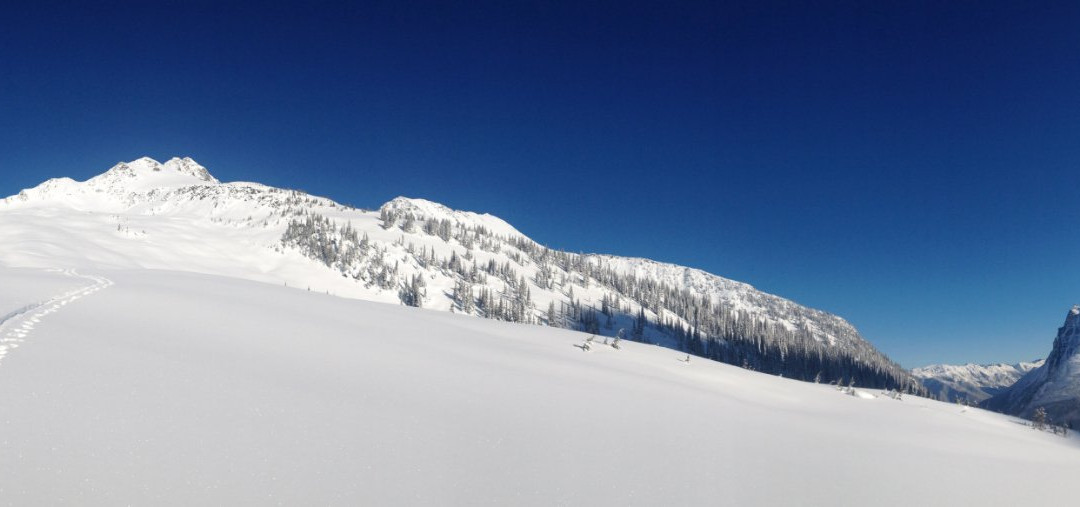 Revelstoke Backcountry Guides Inc-雷夫尔斯托克必去景点