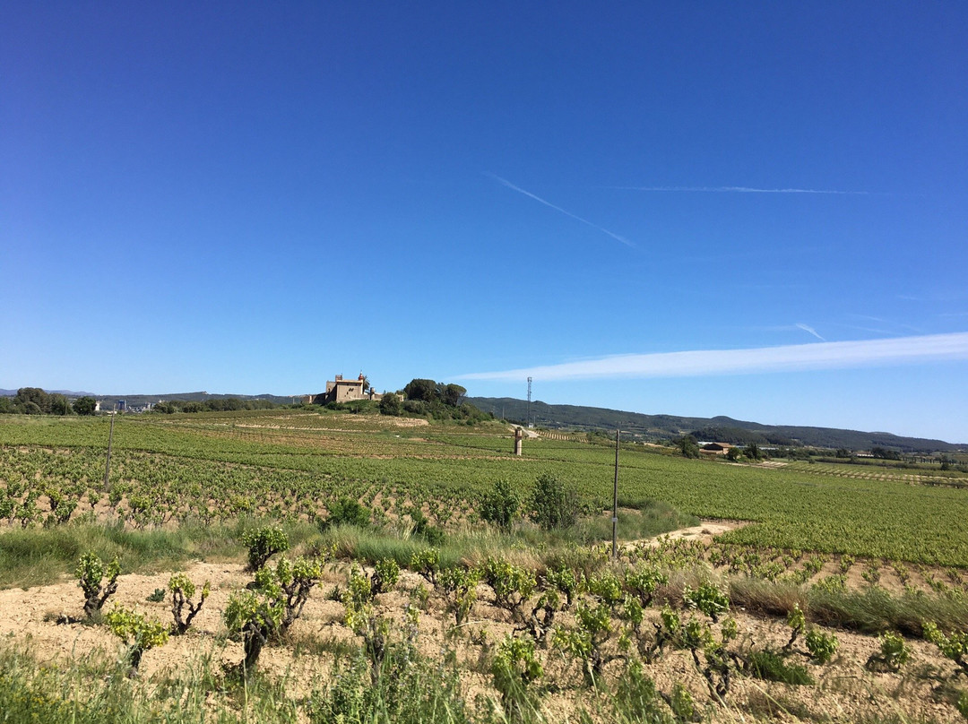 Mas Comtal-Avinyonet del Penedes必去景点