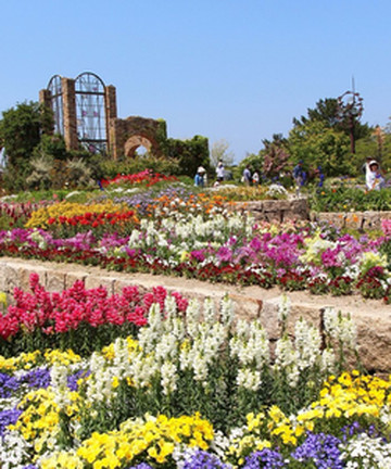 海中道海滨公园景点门票图片