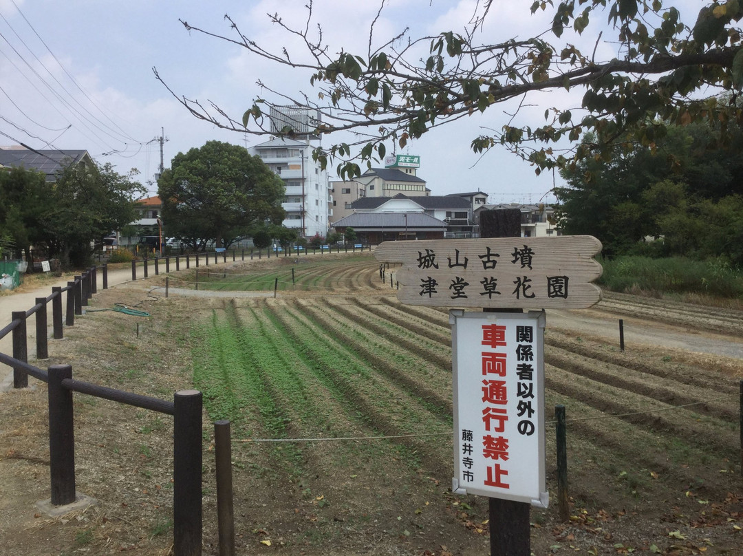 Tsudoshiroyama Ancient Tomb-藤井寺市必去景点